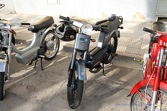 Xeraco2025051
