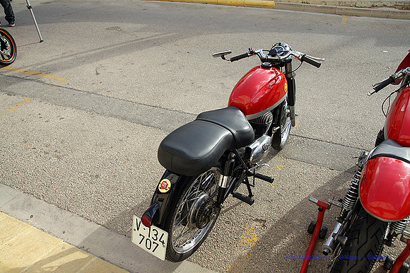 Xeraco2025081