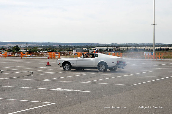 AnticAuto2010390