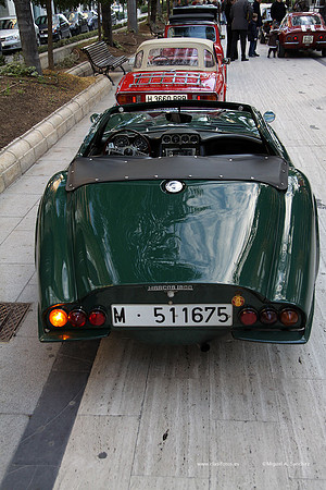 VIConcTorrent055