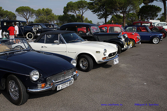 IVConcAlzira057