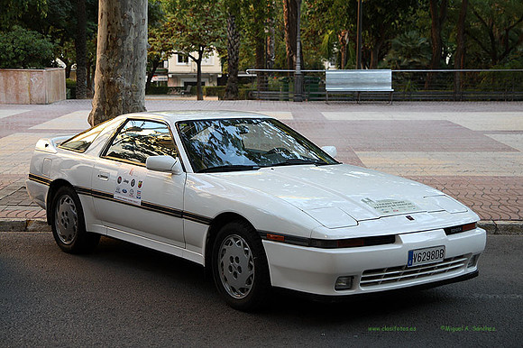 Tourist Trophy055