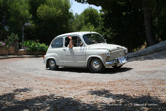 ConcentracionDenia2006169