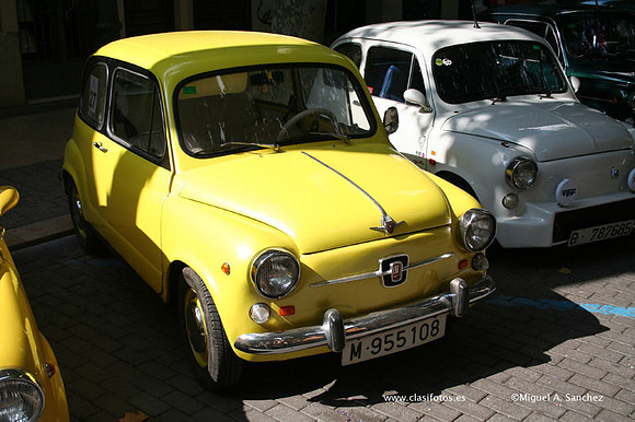 ConcentracionDenia2006123