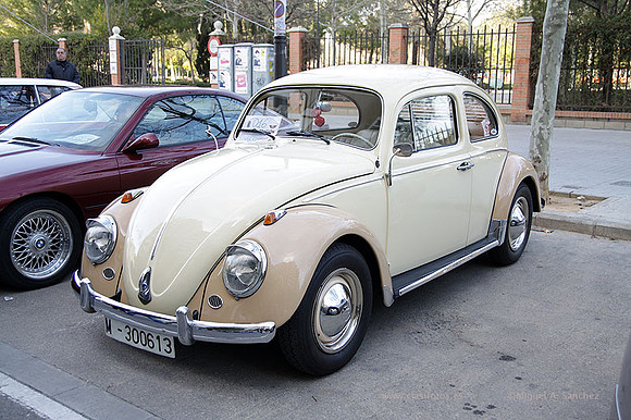 IConLaNovaOrriols049