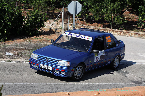 VIIRallyGandia439