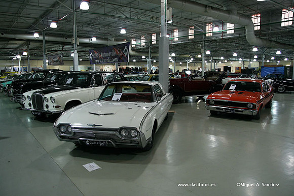 IVAnticAuto0013