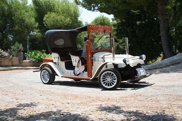 ConcentracionDenia2006190