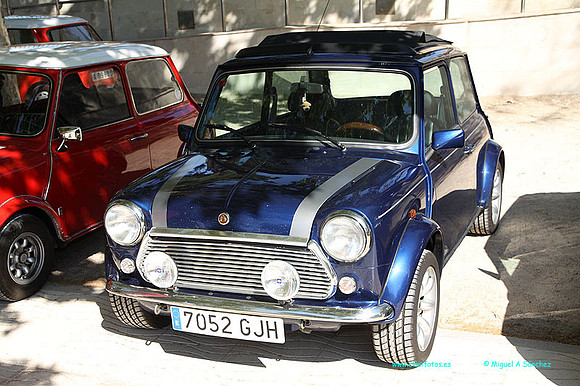 X Conc Utiel077