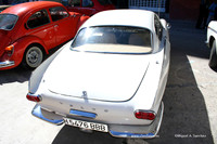 Chiva015