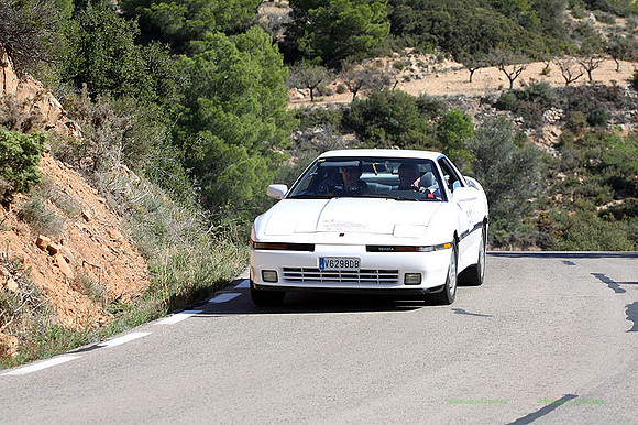 Tourist Trophy450