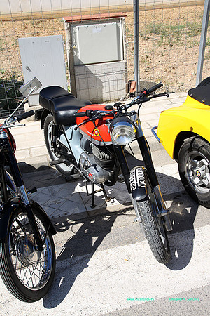 IConcentracionMacastre037