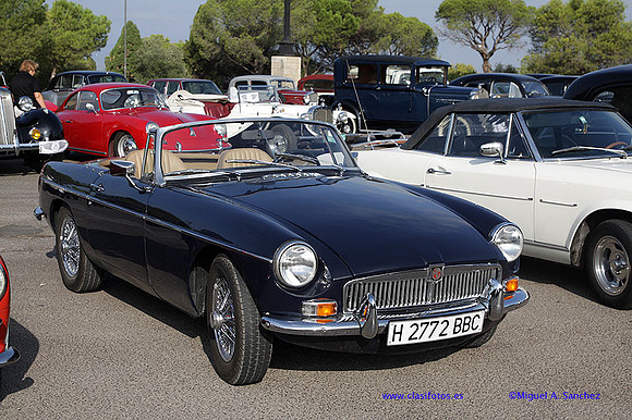 IVConcAlzira014