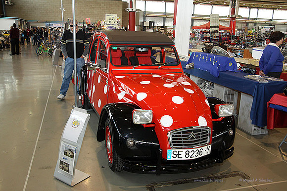 AnticAuto2015225