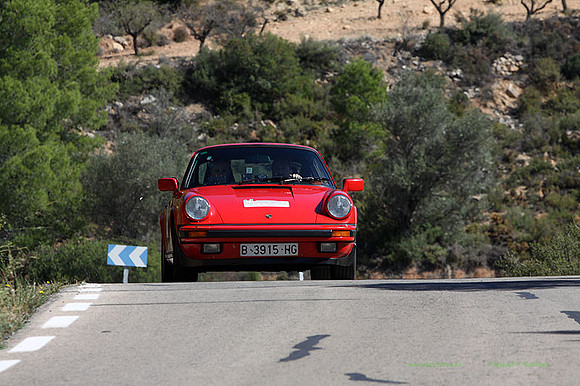 Tourist Trophy342