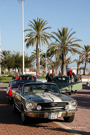 VConcGandia089