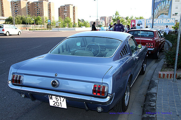CabalgadaMustang353