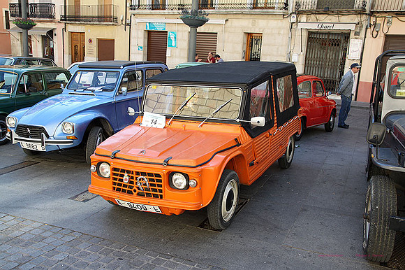 XCocConcentaina023