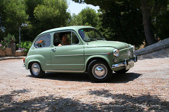 ConcentracionDenia2006158