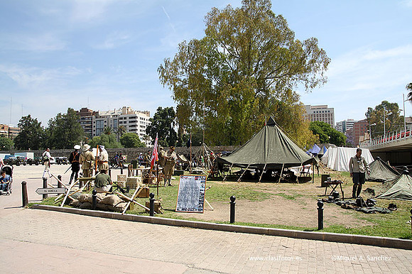 MuseoVivo2012027