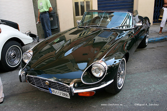 ExposiciónGandia0115