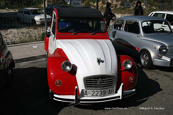 Rotova2009005