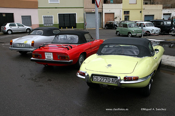 Almazora0007