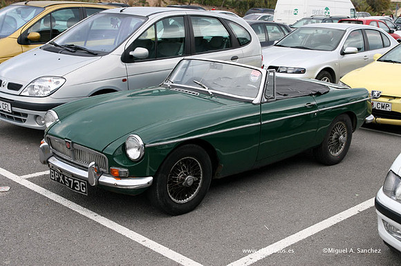 IVAnticAuto0002