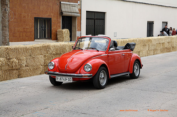 AgroGuadassuar0052
