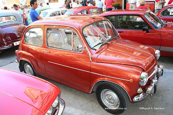 Chiva080