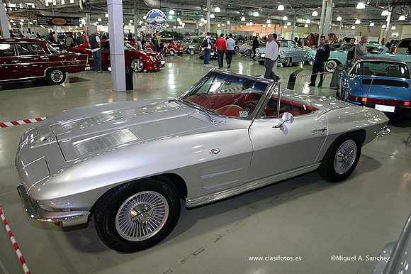 AnticAuto2010117