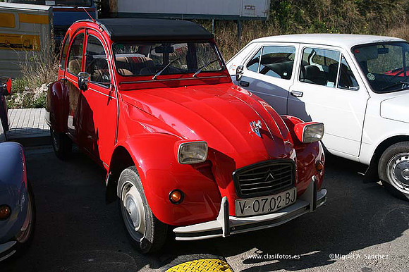 Rotova2009020