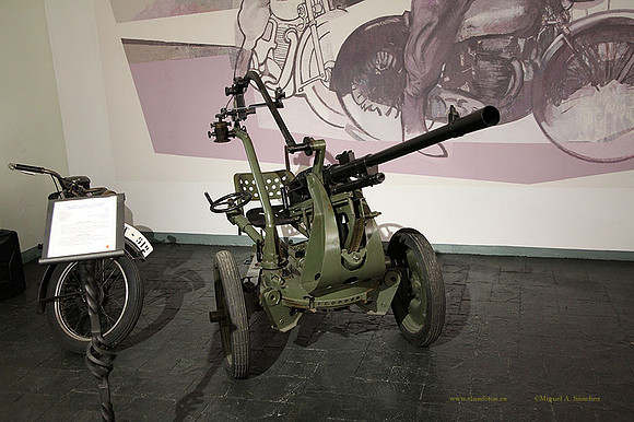 MuseoVivo2023112