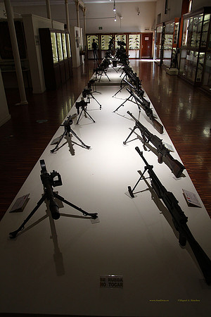 MuseoVivo2023092
