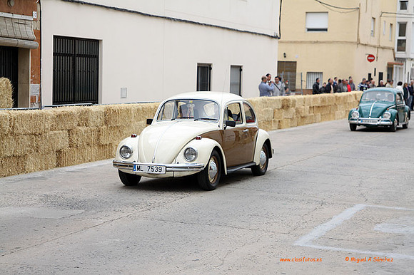 AgroGuadassuar0045