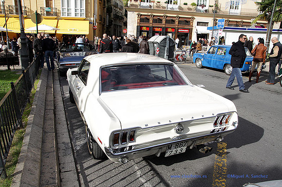 IGuardiaUrbanoSolidario229