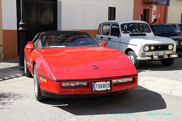 IConcentracionMacastre011
