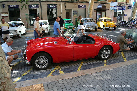 ConcentracionDenia2006100
