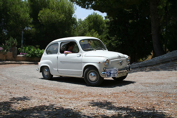 ConcentracionDenia2006187