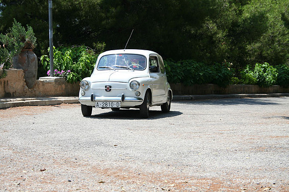 ConcentracionDenia2006131