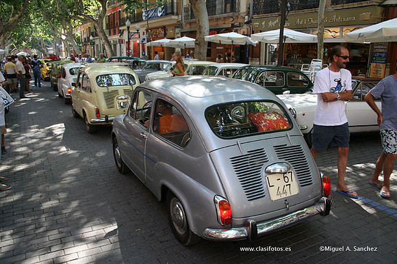 ConcentracionDenia2006105