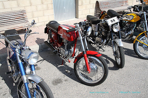 VIConcBocairent097