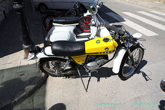 IConcentracionMacastre001