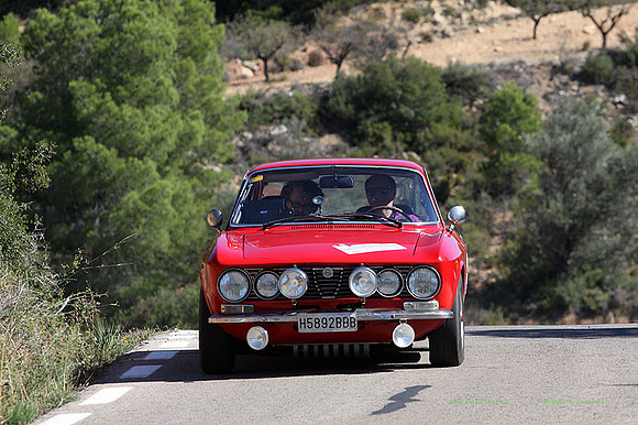 Tourist Trophy314