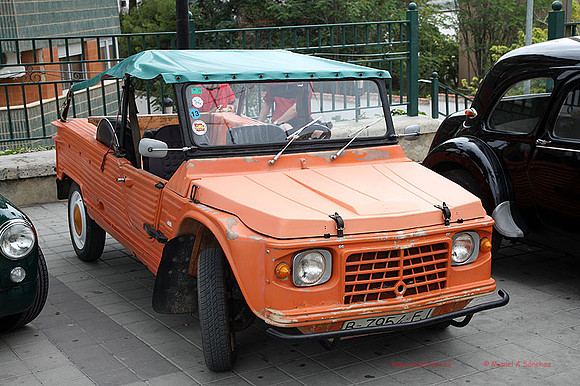 IIConcChiva044
