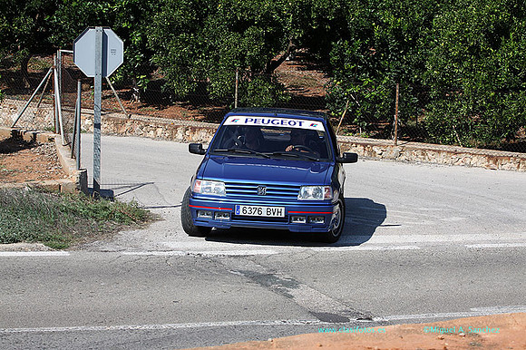 VIIRallyGandia438