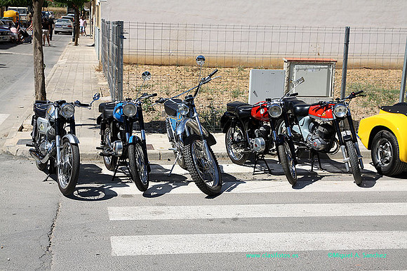 IConcentracionMacastre100