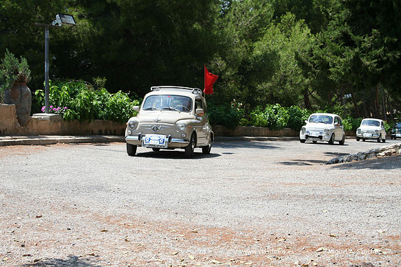 ConcentracionDenia2006135