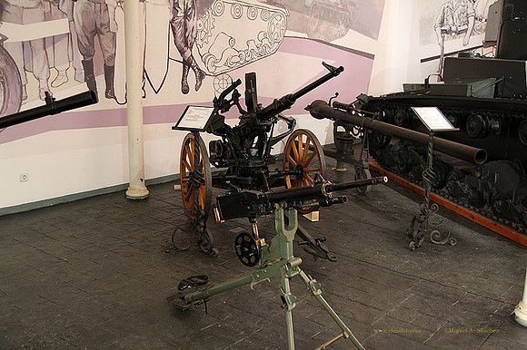 MuseoVivo2023111