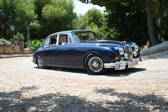 ConcentracionDenia2006154